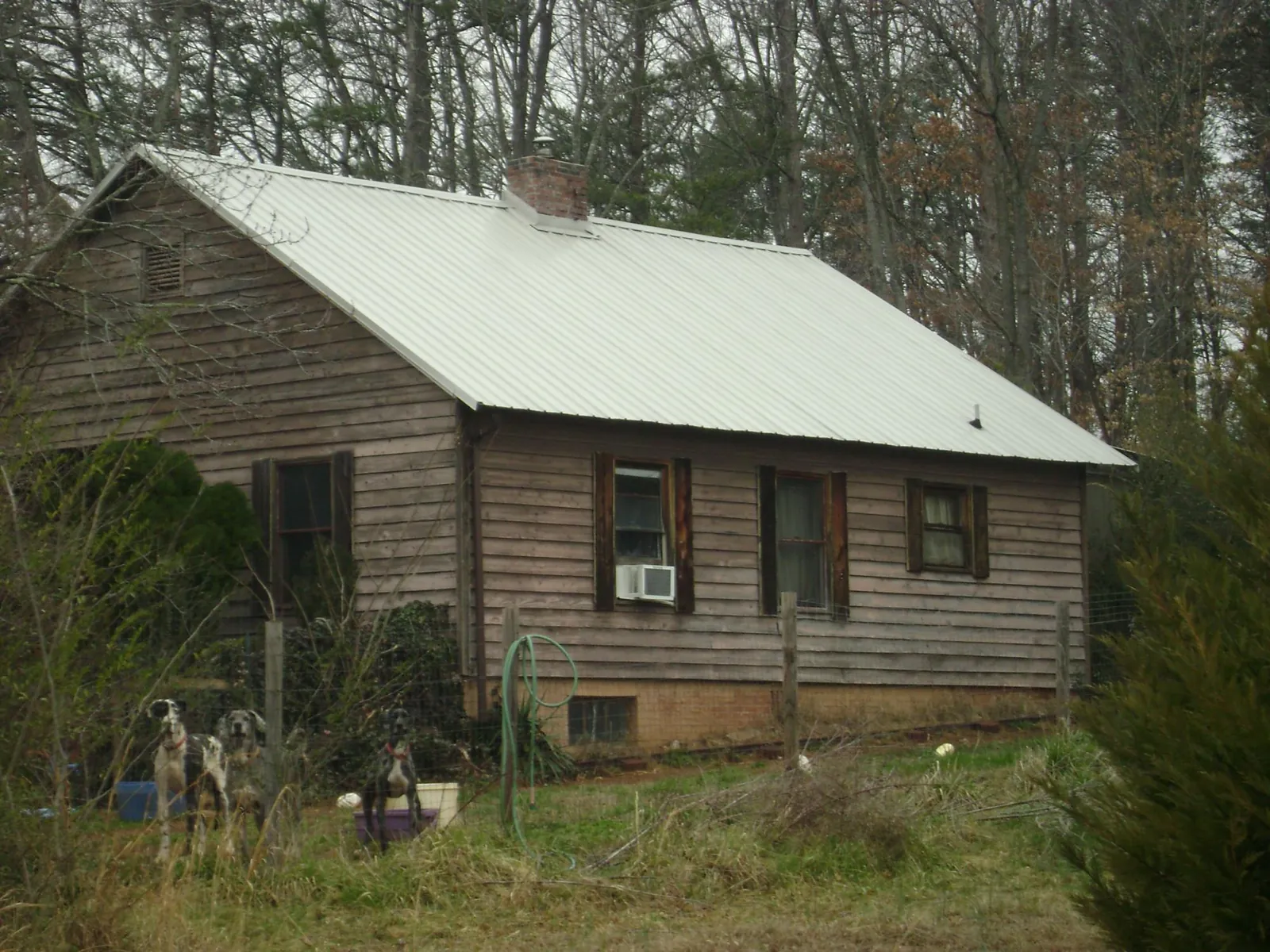 White metal roof on an old wood sided farmhouse, from a Asphalt Shingle Roof Repair job in Clarksburg